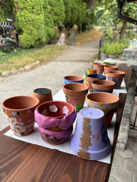 sola_kreativnosti (81)